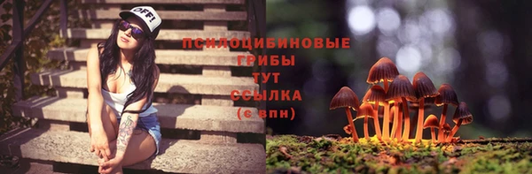винт Лиски