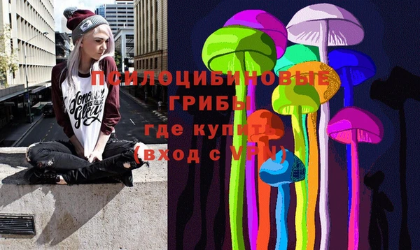 шишки Лихославль