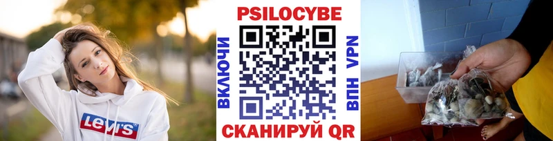 Псилоцибиновые грибы Psilocybine cubensis  Купить закладки  Кировск 